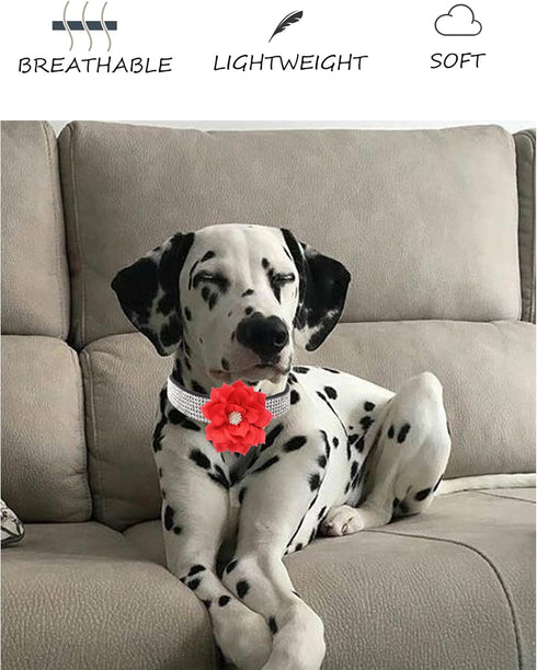 Rhinestone Dog Collar for Small Medium Dogs Black Small Dog Collar for Girl Female Dogs Flower Puppy Collar for Summer Spring Wedding Puppy Neckla...