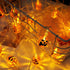 Pumpkin String Lights 20ft 30 LED Halloween Decorative Light Pumpkin Decorative String Light String Light Waterproof Halloween Lights 2 Modes for ...