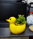 Cute 4.7 Inches Indoor Cartoon Animal Duck Shaped Ceramic Succulent Cactus Flower Plant Pots Planter - Plant Not Included (Yellow)...