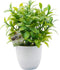 OFFIDIX Mini Plastic Artificial Eucalyptus Leaves Topiary Plant with Pots,Faux Plant Small Plants for Home,Office and Bathroom Decoration...