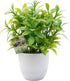 OFFIDIX Mini Plastic Artificial Eucalyptus Leaves Topiary Plant with Pots,Faux Plant Small Plants for Home,Office and Bathroom Decoration...