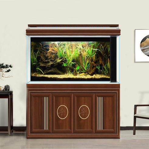 Natural Tropical Biotope Aquarium Background Aquatic Plants Stone Bed Fish Tank Background Undersea Tropical Aquatic Wood Branches Terrarium Backg...