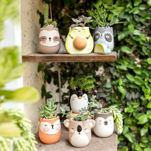 Smiley Cactus Ceramic Planter, 3 x 4 x 4 in., Exclusive Ceramic Planters for Indoor and Outdoors, Cute Hand Painted Designed in Argentina, Conveni...