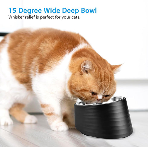 Tilted Angle Dog Bowl, 15° Slanted Stainless Steel Dog Cat Food Bowl, Non-Slip & Non-Spill Pet Feeder with Elevated Detachable Melamine Stand, Eas...