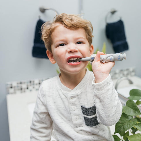 Dr. Brown’s Otter Toddler Toothbrush, Soft Bristles with Suction Cup for Storage, BPA Free, Ages 1-4, 1-Pack...