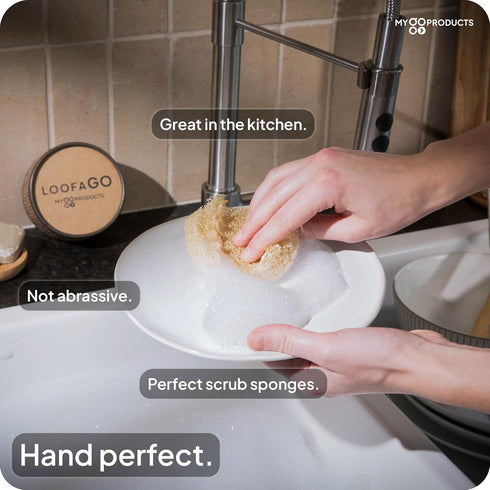 LoofaGO All-purpose Natural Loofah Scrub Sponges, Biodegradable, Eco-friendly for Kitchen, Shower, Bath, Skin, Facial, Body, and More (Pack of 10)...