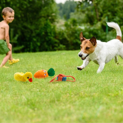 Toozey Puppy Toys, 12 Pack Puppy Toys for Teething Small Dogs, Cute Dog Toys Small Dogs, Stuffed Plush Squeaky Small Dog Toys, Non-Toxic and Safe ...