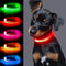 Light up Dog Collar for Small Dog,Vizpet XS Adjustable Size Nylon Collar USB Rechargeable Bright Safety Pet Collar for Cats Dogs (Red?XS)...