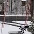 2 PCS Metal Squirrel Baffle, Squirrel Barrier Spring Coil Guard Protects Hanging Bird Feeders for Outdoor Poles...