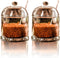 2 Pieces Glass Spice Container with Lids, Clear Sugar Bowl with Spoons Sugar Container Storage Canisters Jars for Salt Sugar Spice Tea...