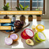 Ortarco 4Pcs Onion Storage Avocado Saver Holder, Lemons Garlic Tomato Peper Storage Containers Reusable...