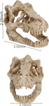 2Pcs Aquarium Decoration Small Resin Dinosaur Skull Skeleton Fish Tank Aquarium Aquarium Cave Pet Reptile House Decoration...