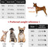 No Pull Dog Harness- Lightweight, Soft, Adjustable Small Harness Collar and Leash Set, Suitable for Cats Puppy Small and Medium-Sized Dog Outdoor ...