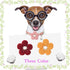 Small Dog Collar with Flower, Puppy Collar for Girl Dog Collars for Small Dogs Cute Dog Collar with Bell, Adjustable Length (Pink)...