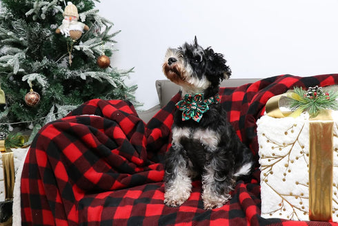 DOGWONG Christmas Holiday Dog Collar with Flower, Cute Cotton Dog Collar Green Santa Dog Collar Durable Soft Pet Dog Collar for Small Medium Large...