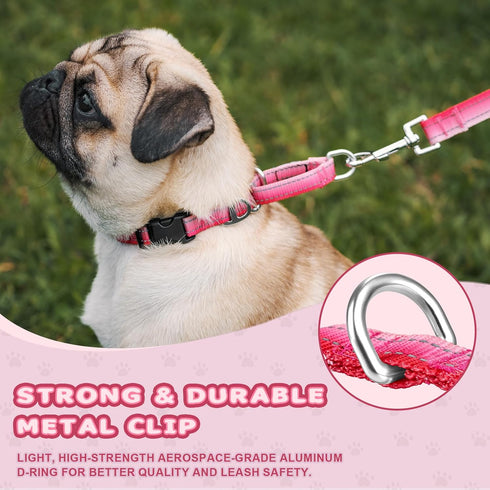 Martingale Dog Collar Pink Light-Reflective Polyester Collars for Dogs Whippets, Greyhounds, Saluki, American Bully, No-Pull No-Escape Safety Trai...