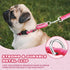 Martingale Dog Collar Pink Light-Reflective Polyester Collars for Dogs Whippets, Greyhounds, Saluki, American Bully, No-Pull No-Escape Safety Trai...