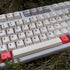 PBT Grey Beige Keycaps Set Cherry Profile 141 Keys Custom Dye-Sub Retro Keyboard Keycaps for 60% 65% 70% 100% Cherry Gateron MX Switches Mechanica...