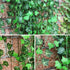 GPARK 84ft 12 Pack / 82 inch, Artificial Ivy Garland Fake Leaf Plants Vine, Hanging Leaves Garlands for Wedding Party Garden Kitchen Outdoor Green...
