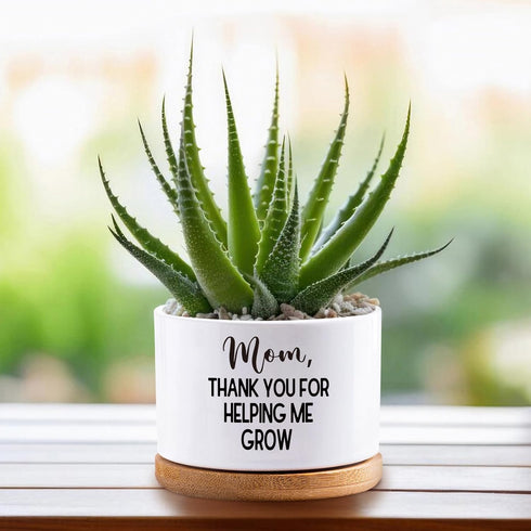 Thank You for Helping Me Grow - Succulent Plant Planters Ceramic Flower Pots Mom Birthday Pot for Her, Indoor Home Garden Planting Pot, Thank You ...