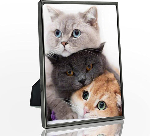 DECANIT 4x6 Picture Frame Metal, Thin Edge Photo Frames for Tabletop Display and Wall Mounting,Black...