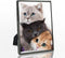 DECANIT 4x6 Picture Frame Metal, Thin Edge Photo Frames for Tabletop Display and Wall Mounting,Black...