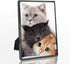 DECANIT 4x6 Picture Frame Metal, Thin Edge Photo Frames for Tabletop Display and Wall Mounting,Black...