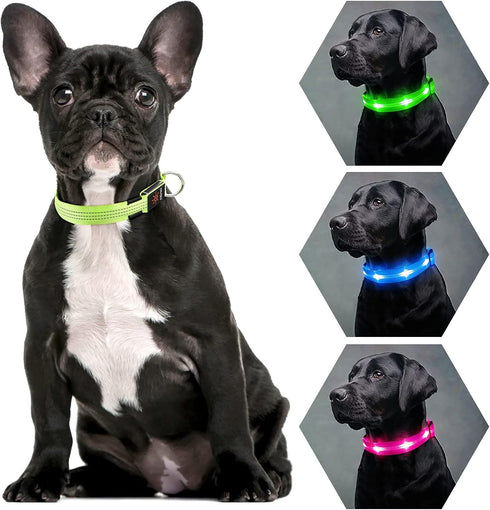 Light Up Dog Collars - Rechargeable LED Dog Collar - Reflective Pet Collar - Adjustable Lighted Dog Collar for Medium Dogs (Green, Medium Collar)...
