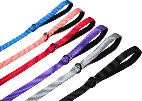 4 Feet Dog Leash with Padded Handle-Sturdy Nylon Dogs Leads for Small Medium Large Giant Dogs Walking,Training,Hiking,Jogging,Camping,etc (Living ...