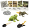 Mbrain5pcs Frog Growth Cycle with Flash Cards,Life Cycle Learning & Education Toys,Montessori Toys,Gift for Girl & Boy for 3 4 5 6 7 Year Old (Fro...