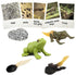 Mbrain5pcs Frog Growth Cycle with Flash Cards,Life Cycle Learning & Education Toys,Montessori Toys,Gift for Girl & Boy for 3 4 5 6 7 Year Old (Fro...