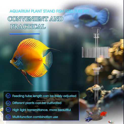 Shrimp Feeding Dish Set with Aquarium Plant Holder, 7 Hole Acrylic Transparent Aquarium Planter Holder, Clear Durable Fish Shrimp Feeding Tube Kit...