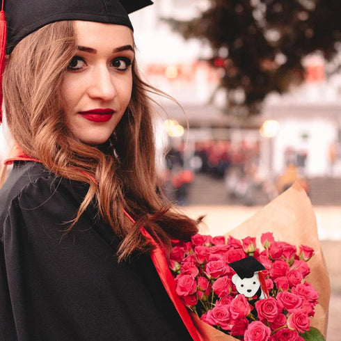 Mini Plush Graduation Bear 10pcs Stuffed Animal with Grad Cap Flower Bear Doll Bouquet Decor Class of 2024 Graduation Present for College High Sch...