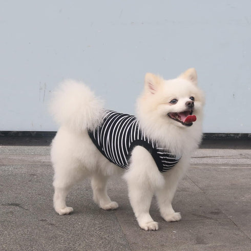 Classic Striped Teacup Pet Dog T-Shirts, 100% Cotton Tank Vest for Small Dogs, Sleeveless Puppy Clothes for Chihuahua Yorkie Black, Small...