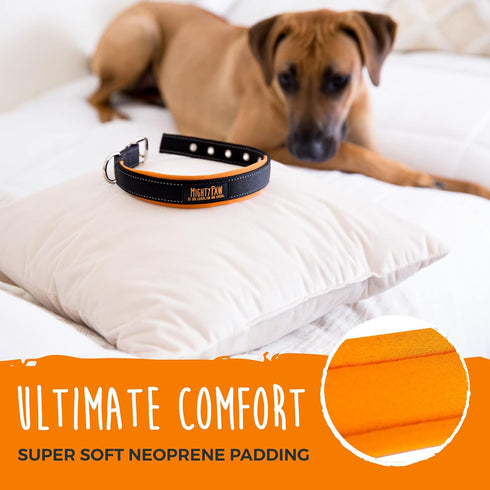 Mighty Paw Ultra Soft Dog Collar - Ultimate Comfort with Soft Neoprene Padding - All-Metal Adjustable Buckle for Large & Small Dogs - Mighty Stron...