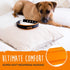 Mighty Paw Ultra Soft Dog Collar - Ultimate Comfort with Soft Neoprene Padding - All-Metal Adjustable Buckle for Large & Small Dogs - Mighty Stron...