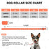 Leather Dog Collar for Puppy Small Medium Dogs, Adjustable Star Moon Rivet Studded Pet Collars with Rust-Proof Metal Buckle and Charms, XS S Dog C...