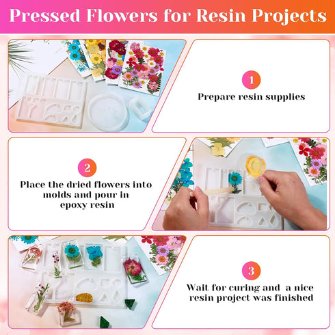 Real Dried Pressed Flowers for Resin, Natural Dry Flowers Leaves Bulk Herbs Kit for DIY Scrapbooking Stamping Supplies Epoxy Resin Jewelry Molds C...
