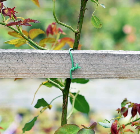 Green Soft Twist Tie Plant Tie Flexible TPR Garden Supply, for Tomatoes Roses Vines Organizing(16.4 feet/ 5 Meters)…, 16 feet...