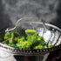 1 piece Steamer Basket, 5.5" to 9" Stainless Steel Vegetable Steamer Basket,Folding Expandable Steamers for Steaming Cooking...