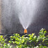 Daycount® Pack of 10 Automatic Watering Mini Adjustable Atomizing nozzle Irrigation Drippers 360 Degree Emitter Drip System Orange Nozzle...