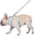 Now House for Pets by Jonathan Adler Terrazzo Reversible Harness, Medium | Stylish, Fashionable, and Functional Way to Keep Your Dog Looking Great...