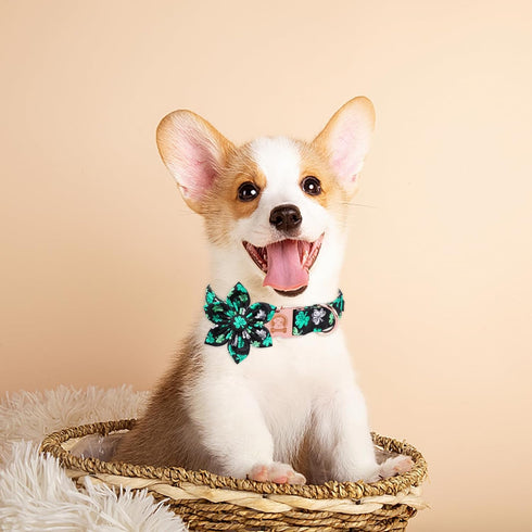 MR. CHUBBYFACE St.Patrick's Day Clover Dog Collar, Whit Green Clovers Adjustable Dog Collar with Flower Tie for Small Medium Large Dogs,XL...