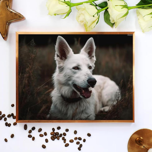 IPISSOI DIY Diamond of Painting Kits White Shepherd Full Drill Round Diamond Embroidery Cross Stitch Mosaic Crystal Rhinestone Arts and Crafts Gem...