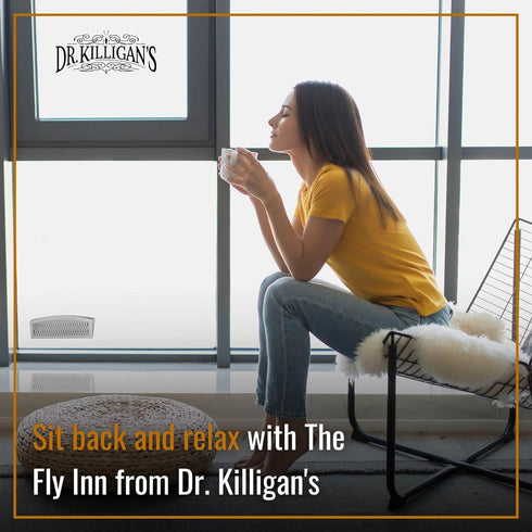 Dr. Killigan's The Fly Inn | Window Fly Traps | Sticky Fly Strip | Indoor Insect Trap | Catches and Hides Bugs | Better Than Fly Paper or Ribbon |...