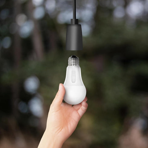 Feit Electric A19 LED Light Bulb, 60W Equivalent, Non-Dimmable, 5CCT, E26 Medium Base, 90 CRI, 800 Lumens, Standard Light Bulb with Switch on Bulb...