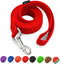 AMAGOOD 6 FT Puppy/Dog Leash, Strong and Durable Traditional Style Leash with Easy to Use Collar Hook,Dog Lead Great for Small and Medium and Larg...