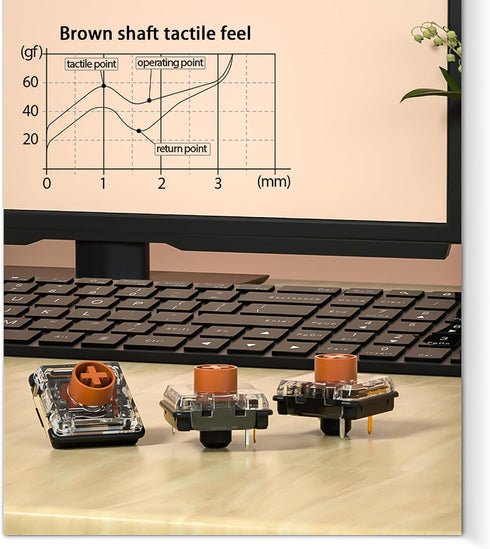 Kailh Choc Low Profile V2 Brown Keyboard Switches,Tactile RGB SMD 43gf Switch for MX Mechanical Gaming Keyboard (V2 Brown 10Pcs)...