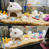 Saim Upgrade Aquarium Mushroom House Ceramic Cave Decorations for Pleco Shrimp to Rest and Breed, Hiding - White...
