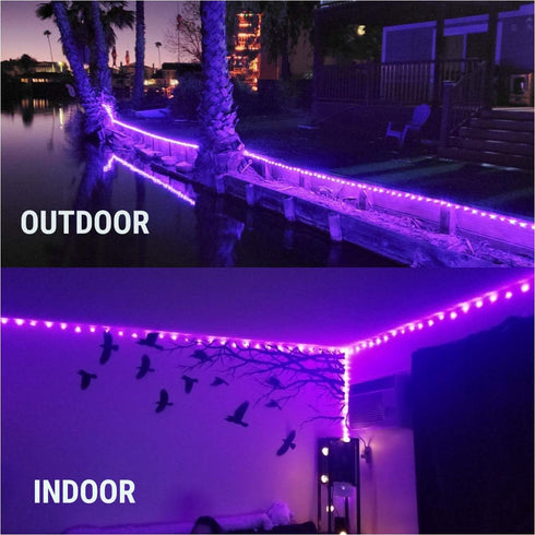 33 Feet Wire Led Fairy String Lights Halloween Christmas Gift for Mother Grandma Daughter 100 LED Micro Mini Twinkle Starry Lights for Tree Bedroo...